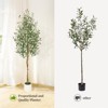 Whizmax 5/6/7ft Artificial Olive Trees - Faux Silk Plants in White Planters with Wood Trunk & Moss, for Home/Office Decor, 1/2 PCS - 4 of 4