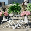 Artloge 4 Tiers Heavy Duty Metal Plant Stand Industrial Style Flower Pot Holder Rack for Garden Balcony Patio Office Decor Space-Saving - 3 of 4