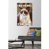 Trends International Grumpy Cat - Fun Unframed Wall Poster Prints - 2 of 4