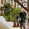 Bloem Railscapes Planter Railing Support Brackets 1pk for Indoor and Outdoor Gardening - 3 of 4