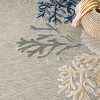 Nourison Suncoast Beach Indoor/Outdoor Flatweave Rug - 3 of 4