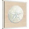 Amanti Art 16"x16" Sand Dollar on Wood Background by Patricia Pinto: Nautical Theme, Polystyrene Frame, Wall Decor - 2 of 4
