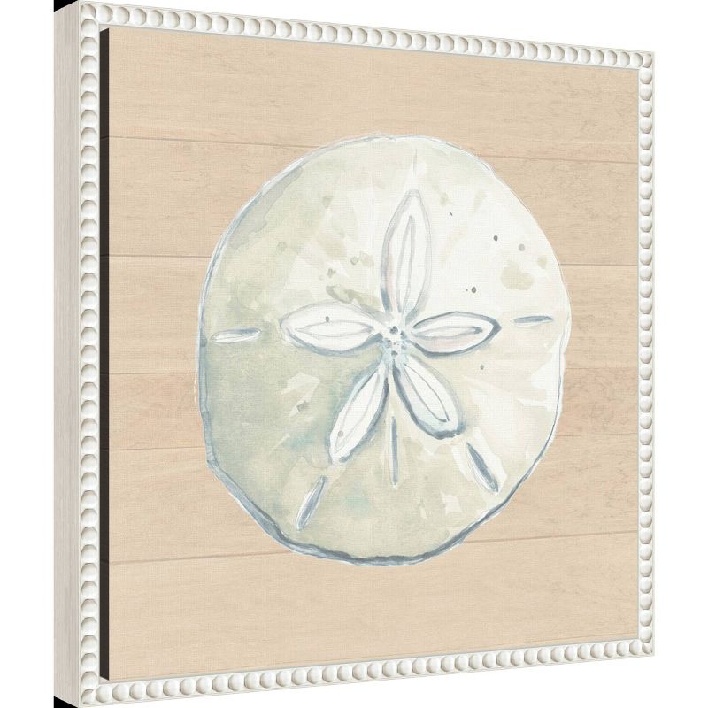 Amanti Art 16&#34;x16&#34; Sand Dollar on Wood Background by Patricia Pinto Framed Canvas Wall Art Print, 2 of 7