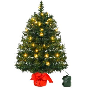24" Pre-lit Artificial Mini Christmas Tree w/ Warm LED Lights and Cloth Bag Base - 1 of 4