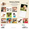 BrownTrout Kittens and Puppies 2026 12"x24" Hanging Square Wall Calendar Plastic-Free - 2 of 4