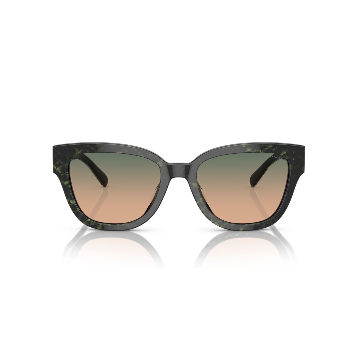 Coach HC8379U 54mm Female Butterfly Sunglasses - thumbnail 2