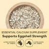 Scratch and Peck Feeds Cluckin Good Organic Ground Oyster Shell for Chickens and Ducks - 4 lbs - 2 of 4