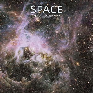 The Gifted Stationery 2025 Square Wall Calendar, Outer Space, 16-Month Natural World Theme with 180 Reminder Stickers (12x12 In) - 1 of 4