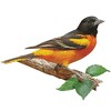 Madd Capp: I Am Oriole - 300 Piece Puzzle - Bird -Shaped Jigsaw, Adults & Kids - 4 of 4