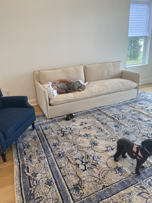 Guest review image 1 of 1, zoom in