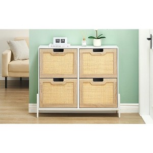 Natural Rattan Narrow Shoe Storage Organizer Cabinet with 4 Flip Drawers, Freestanding Shoe Rack with Metal Legs and Adjustable Shelf - 1 of 4