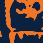 chicago bears