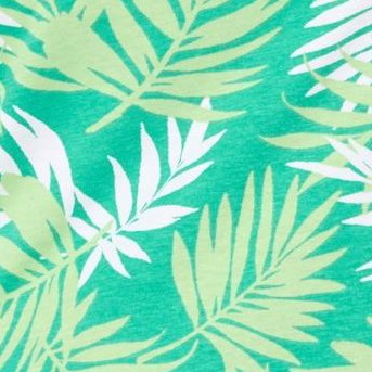 tropical palm leaf