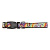 The Worthy Dog Kaleidoscope Dog Collar - 3 of 3