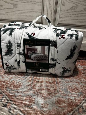 Guest review image 1 of 2, zoom in