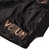 Venum Giant Lightweight Muay Thai Shorts - 4 of 4