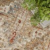 Nourison Petra Oramental Indoor Rug - 3 of 4