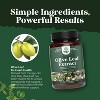 Olive Leaf Extract Capsules, High Strength Antioxidant Supplement with Pure Olive Leaf with 20% Oleuropein for Heart Health, Nature's Craft, 120ct - 4 of 4