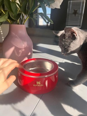 Guest review image 4 of 5, zoom in