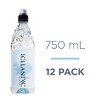 Icelandic Glacial Natural Spring Alkaline Water - 750 Ml / 25.3 Fl Oz Bottle (Pack of 12) - 3 of 4