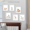 Lambs & Ivy Watercolor Woodland Animals 6-Piece Unframed Nursery Wall Art Decor - 4 of 4