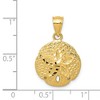 Black Bow Jewelry 14k Yellow Gold 15mm Diamond Cut and Textured Sand Dollar Pendant - 4 of 4