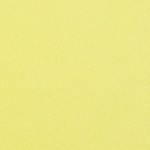 black frame | yellow lens