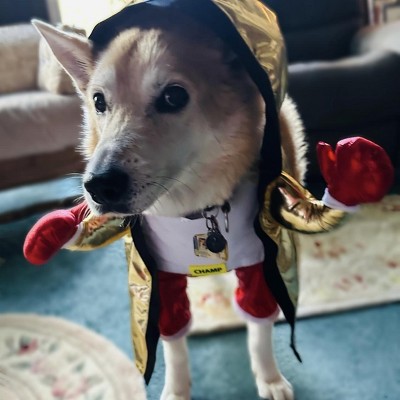 Guest review image 1 of 1, zoom in