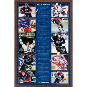 Trends International Wayne Gretzky - Stats Framed Wall Poster Prints - 1 of 4
