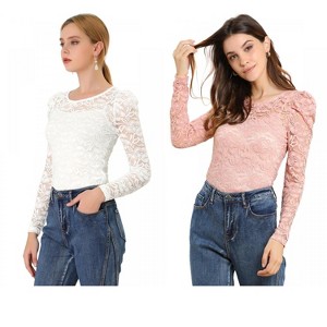 INSPIRE CHIC Women's Vintage Semi-Sheer Puff Long Sleeve Embroidery Lace Floral Blouse 2 Packs - 1 of 4
