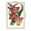 Amanti Art Paxton Tropicals II by Jennifer Paxton Parker Framed Canvas Wall Art - 4 of 4