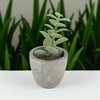 Unique Bargains Artificial Plants Flocked Peanut Leaf in Mini Pulp Plastic Green 1.97"x1.97"x4.33" 1 Pcs - 2 of 4