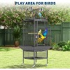 61-Inch Wrought Iron Playtop Bird Cage with Rolling Stand, Large Indoor Parrot Cage for Parakeets, Cockatiels, Conures, Lovebirds, Finches & Canaries - 3 of 4