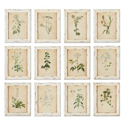 Plum & Post Framed Wild Flower Botanical Prints Set of 12