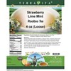 TerraVita Strawberry Lime Mint Rooibos Tea (Loose) (4 oz, ZIN: 542083, 3-Pack) - 2 of 4