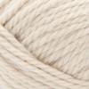 Lion Brand Re-Spun Thick & Quick Yarn - 2 of 2