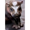 Trends International Cute Pygmy Hippopotamus Unframed Wall Poster Prints - 4 of 4
