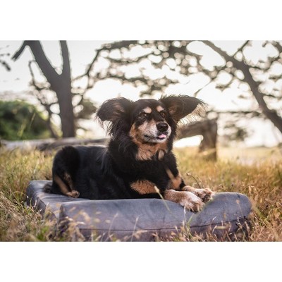 Barker Junior 4" Orthopedic Dog Bed
