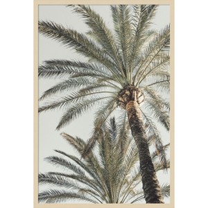 Amanti Art Palm 005 by Pictufy Studio III Wood Framed Wall Art Print - 1 of 4