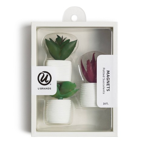 U Brands 3ct Succulent Plant Magnets Target