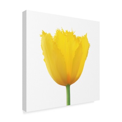 Trademark Fine Art -Beata Czyzowska Young 'Yellow Beauty' Canvas Art