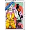 Trends International DC Comics Movie - Birds of Prey - Emancipation Framed Wall Poster Prints - 3 of 4