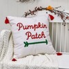 The Lakeside Collection Thankful Harvest Embroidered Accent Pillows - Pumpkin Patch - 2 of 3