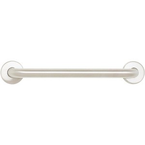 Seachrome Stainless Steel Wall Mount Bathroom Shower Grab Bar - 1 of 1