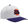 Space Jam's Tune Squad Elite Flex Snapback With Embroidery and Underbill Print - 3 of 4