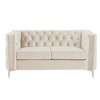 Modern 61 in.  Deep Dutch Velvet 2-Seater Loveseat with Iron Legs - Morden Fort - 2 of 4