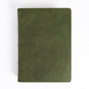 CSB She Reads Truth Bible, Holman Handcrafted Collection, Olive Premium Calfskin - by  Raechel Myers & Amanda Bible Williams & Csb Bibles by Holman - 1 of 1