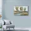 Trademark Fine Art -Tim Otoole 'Stream Side I' Canvas Art - 3 of 4