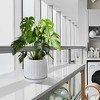NAYSAYE Planter Set of 2 Ceramic Flowerpot Sleek Glossy Design for Indoor Outdoor Garden, White, 7.88"*7.88"*7.09" - 4 of 4