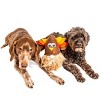 Midlee Thanksgiving Gnome Dog Toy with Hidden Ball - 4 of 4